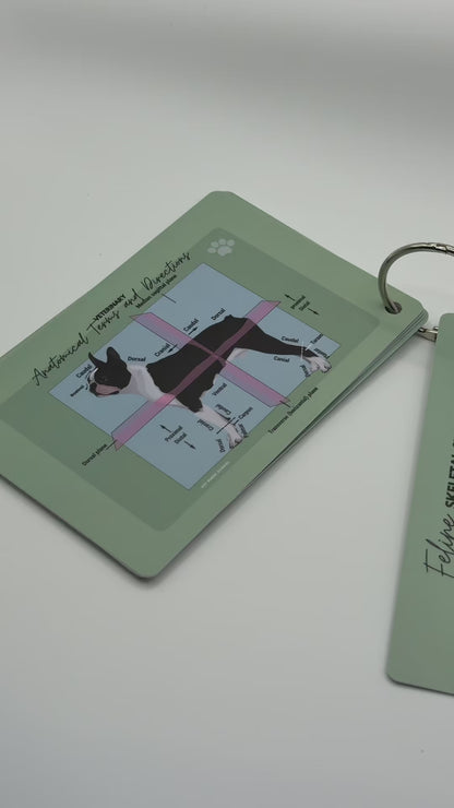 Vet Nurse Pocket Reference Cards - Matcha